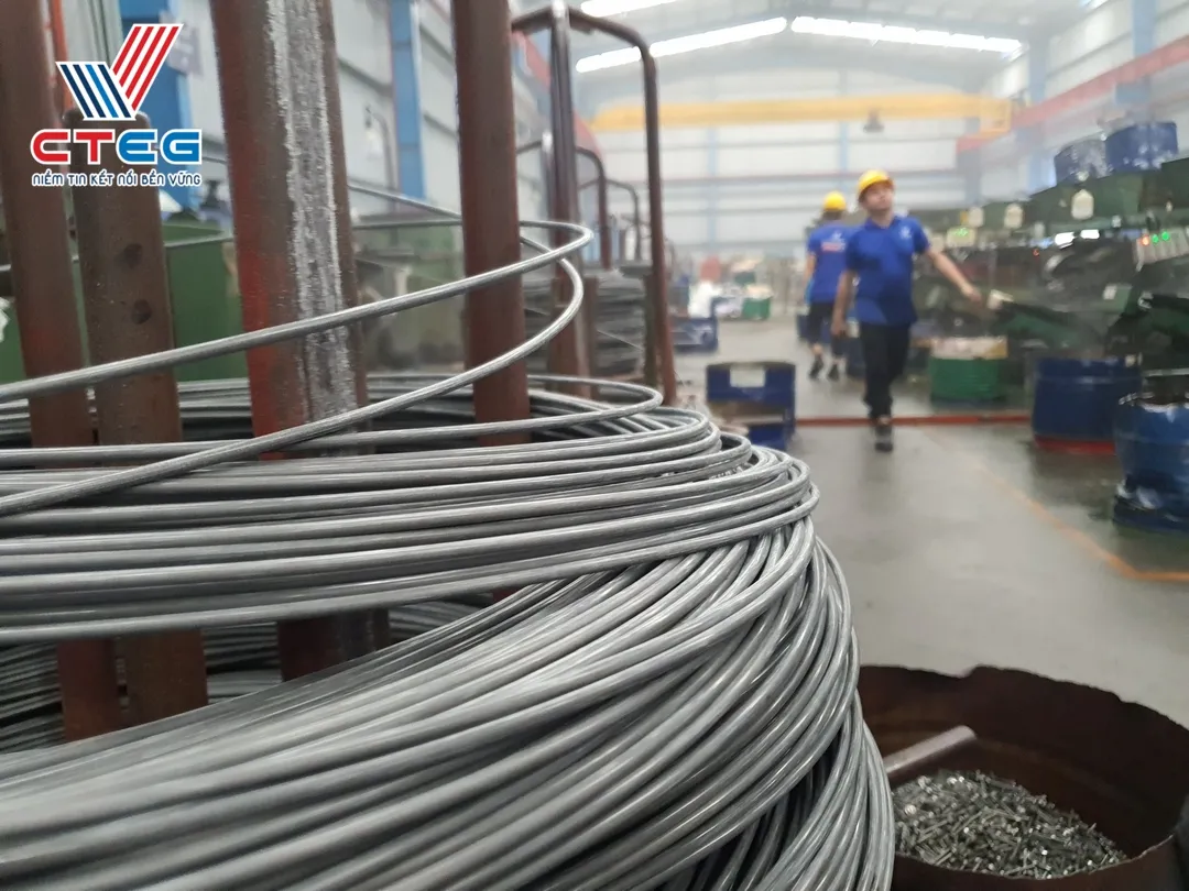 nha may san xuat vit ban ton cuong thinh cteg san xuat theo yeu cau (3)
