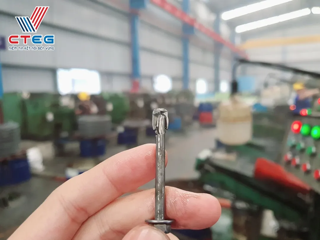 nha may san xuat vit ban ton cuong thinh cteg san xuat theo yeu cau (6)
