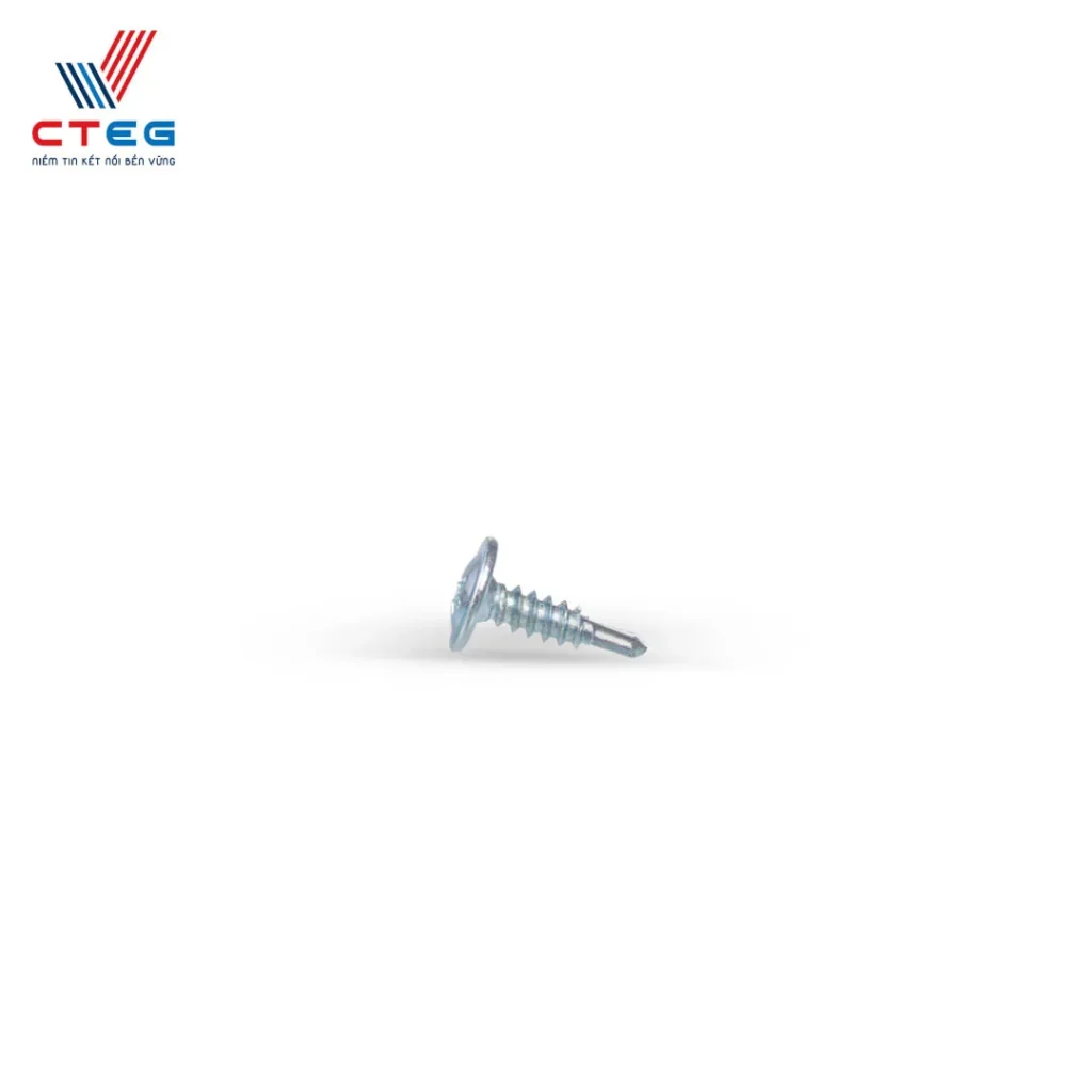 vít bắn ton vít đuôi cá đầu dù vít giá sỉ nhà máy (2)_result