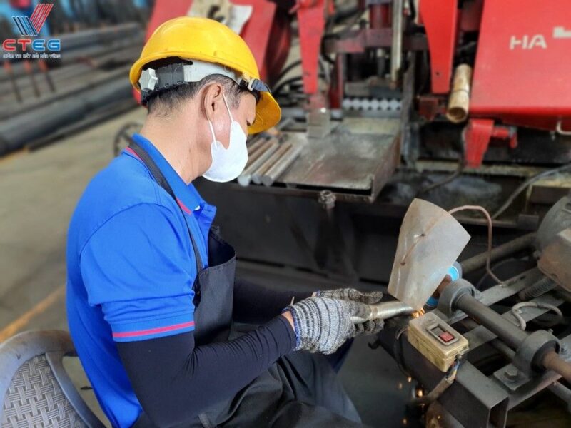 Quy trình kiểm định chất lượng và năng lực cung ứng tại CTEG